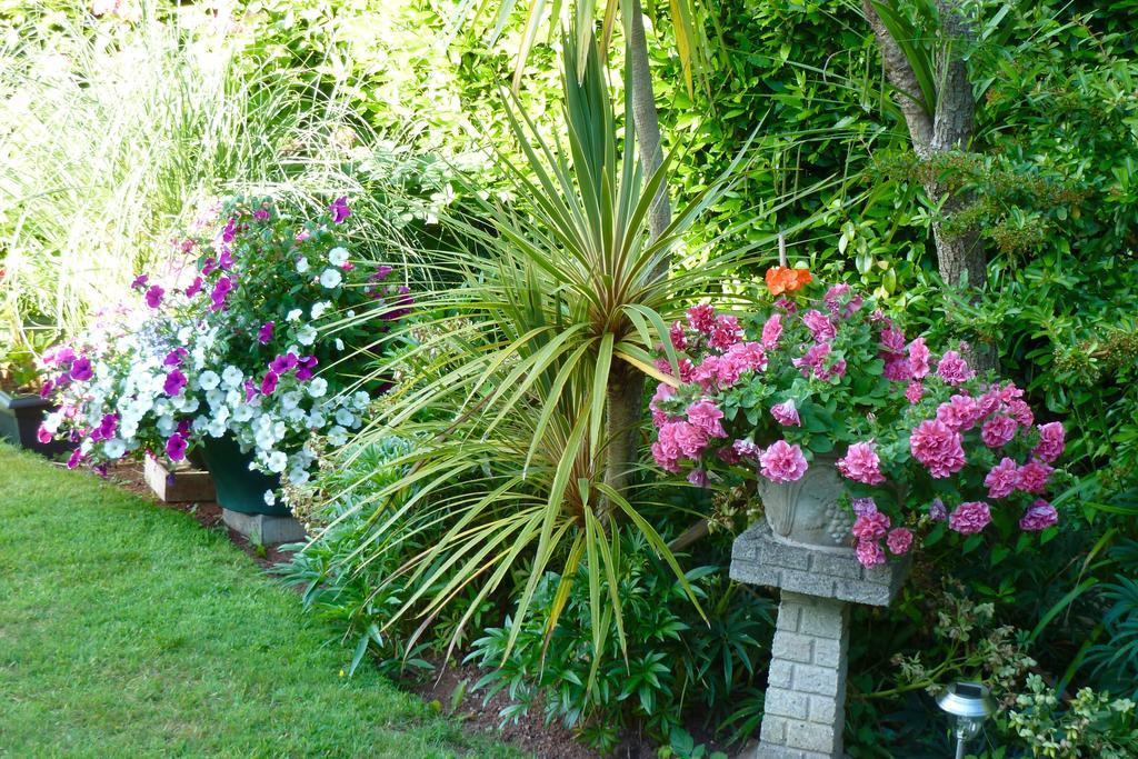 Cloudlands Guest House Torquay Bagian luar foto